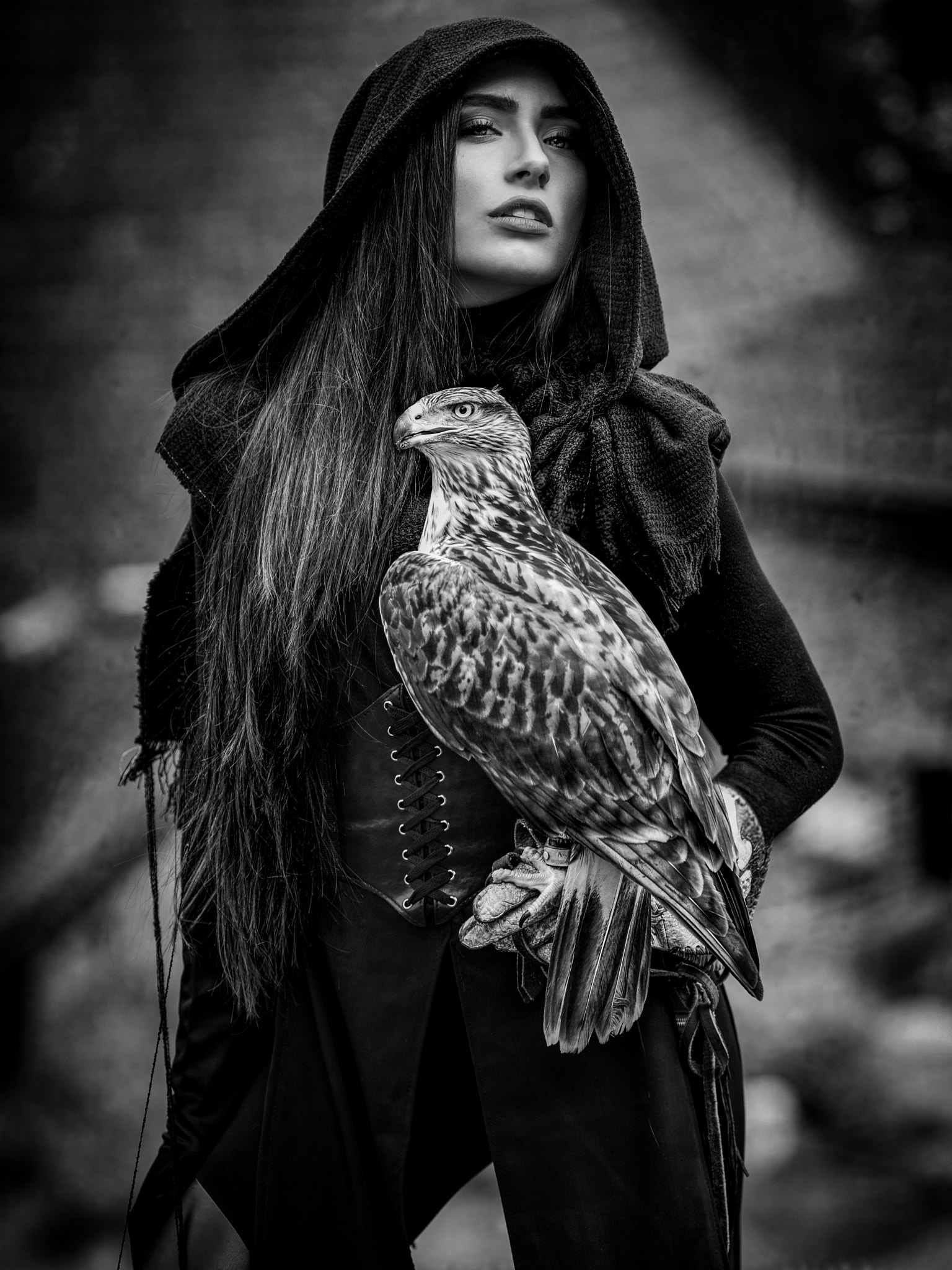 Canon EF 135mm F2L USM sample photo. Falconer photography