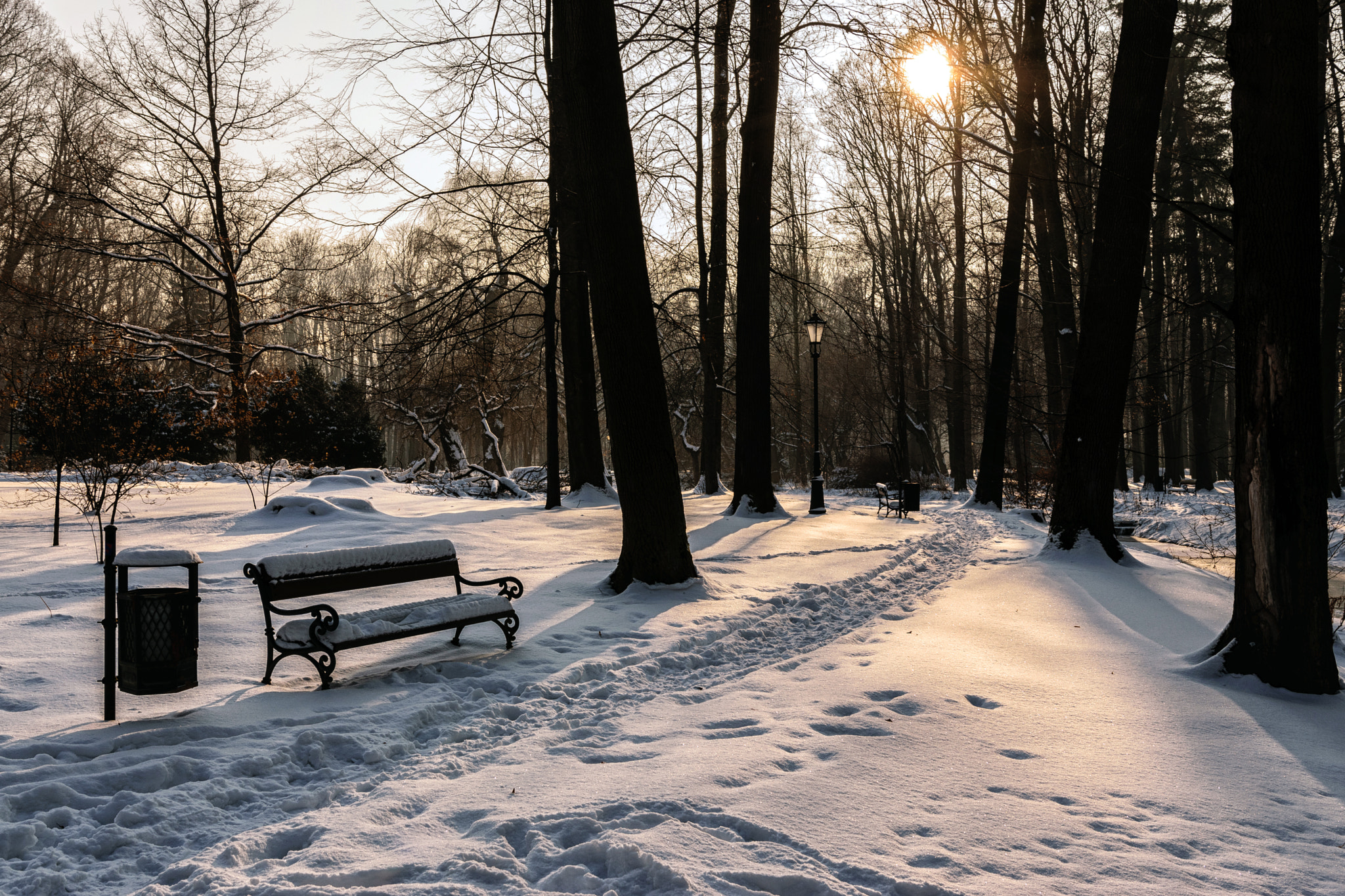 Nikon D5300 + Sigma 18-35mm F1.8 DC HSM Art sample photo. Walk in park photography