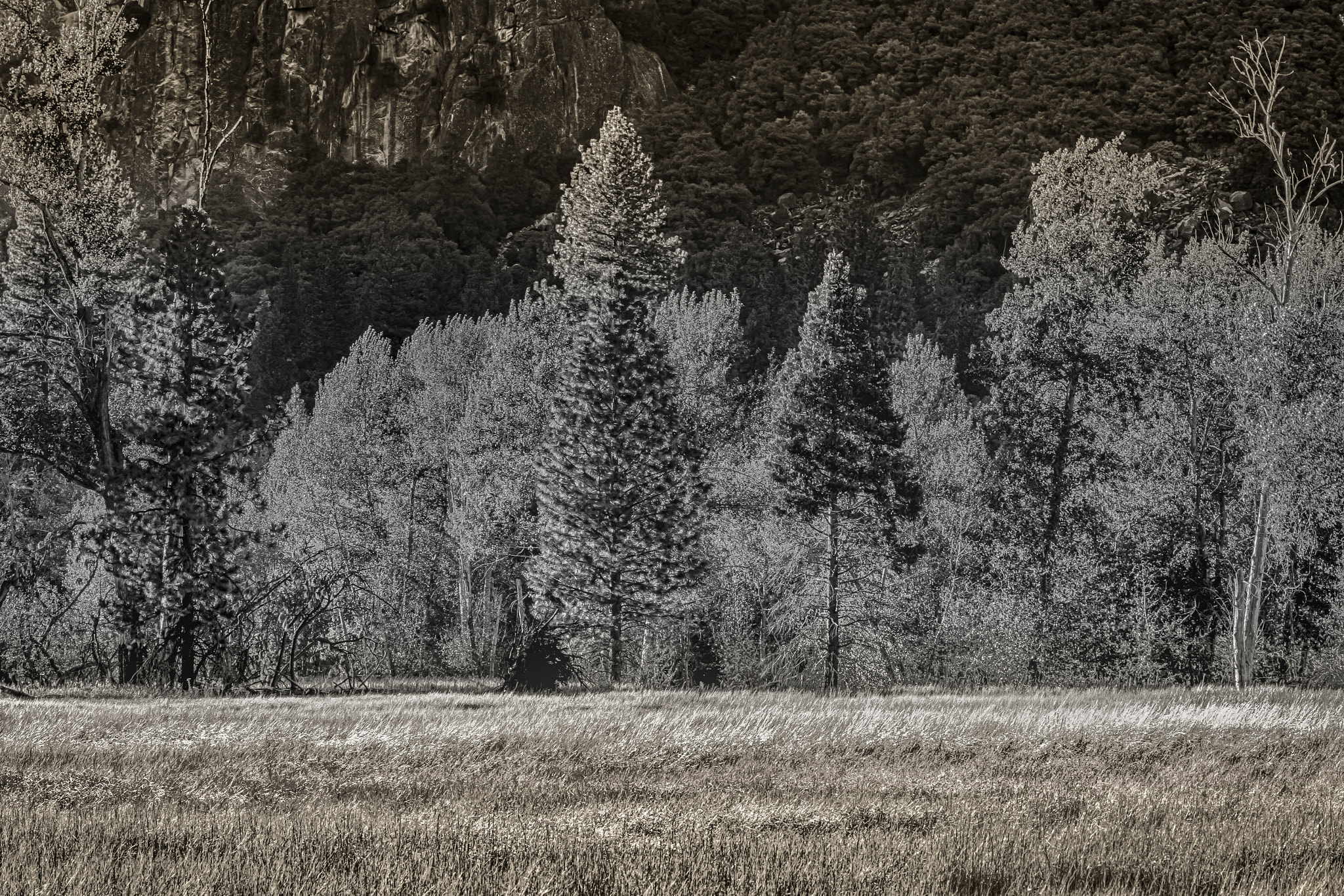 Canon EF 70-200mm F4L IS USM sample photo. Shades of gray photography