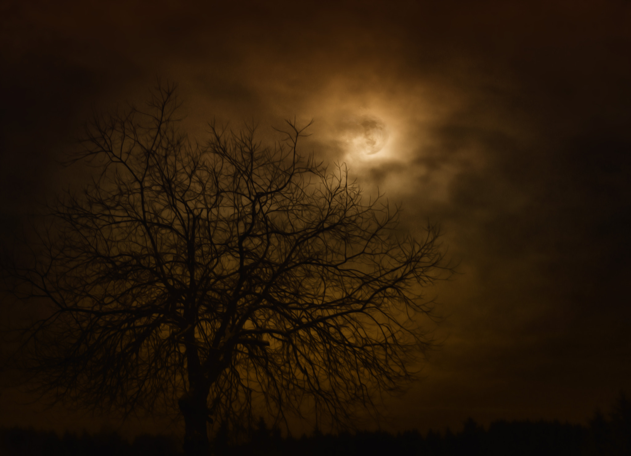Canon EOS 60D sample photo. Mystic night photography