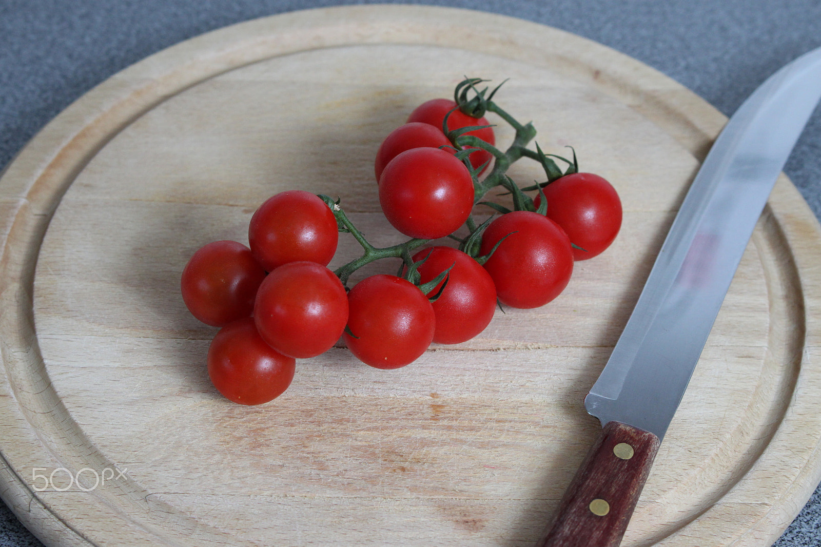 Canon EOS 500D (EOS Rebel T1i / EOS Kiss X3) sample photo. Tomatoes on the vine photography