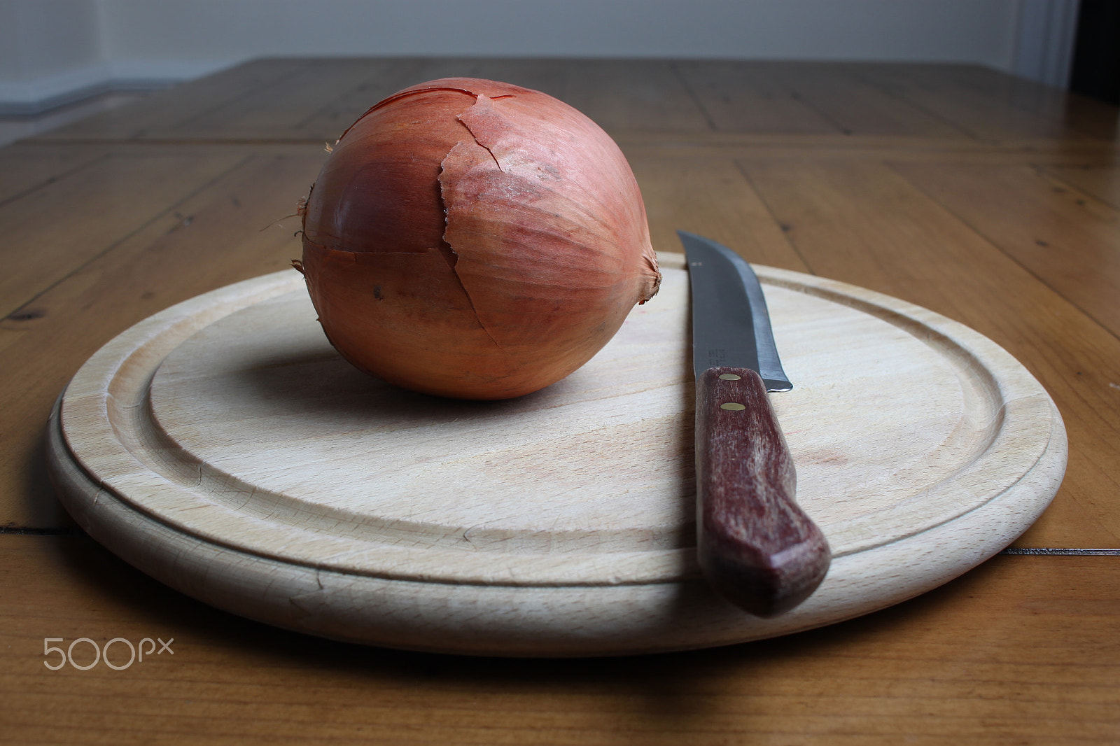 Canon EOS 500D (EOS Rebel T1i / EOS Kiss X3) sample photo. Onions photography