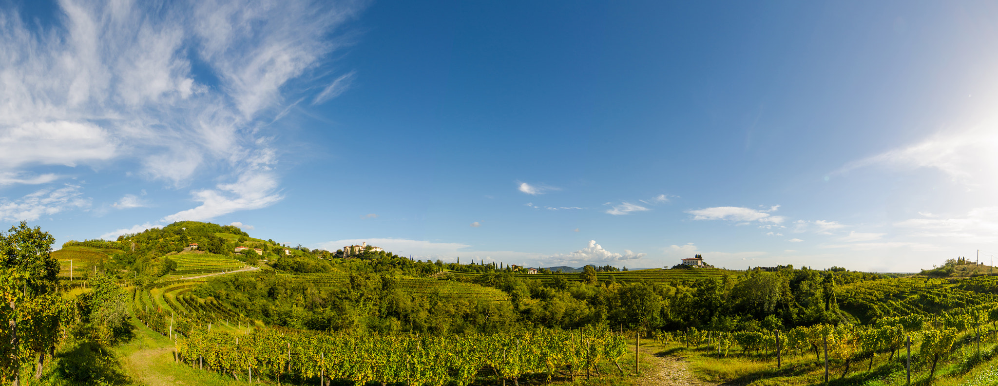 Samyang 14mm F2.8 ED AS IF UMC sample photo. Rosazzo, north italy photography