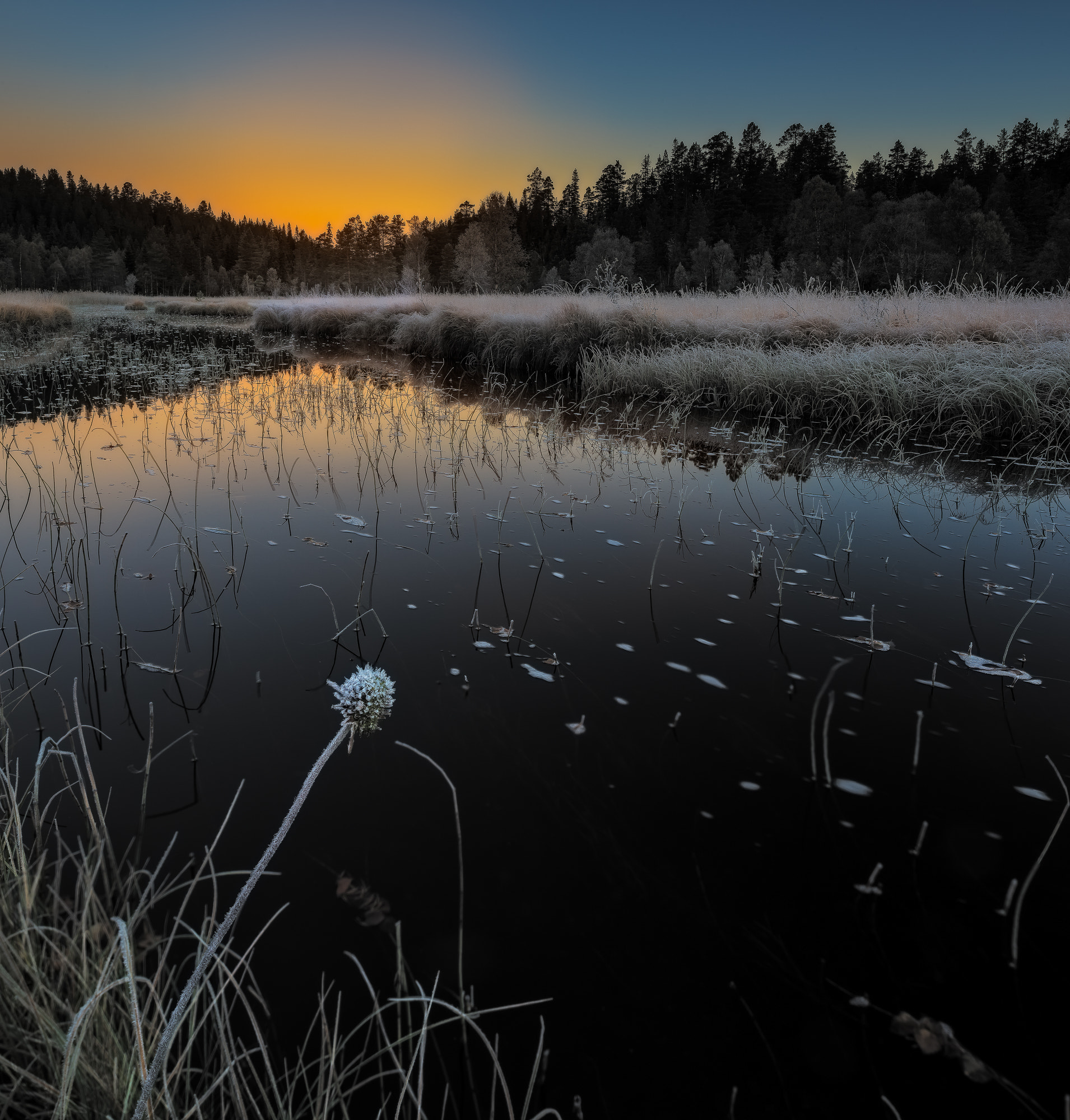 Nikon D810 sample photo. Frozen sunrise  photography