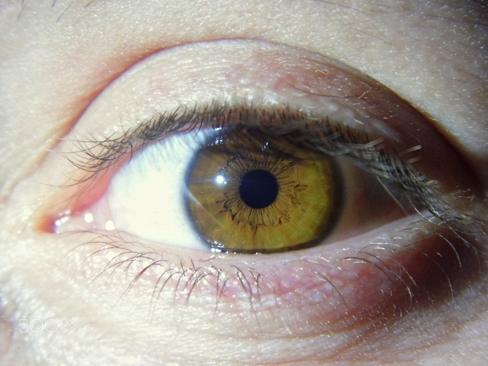 Panasonic Lumix DMC-LZ20 sample photo. Human eye photography