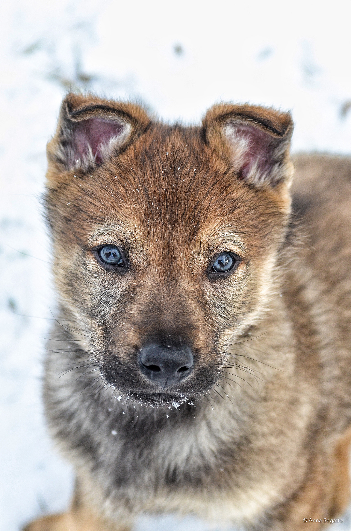 Nikon AF-S Nikkor 28-70mm F2.8 ED-IF sample photo. My new little boy stark photography