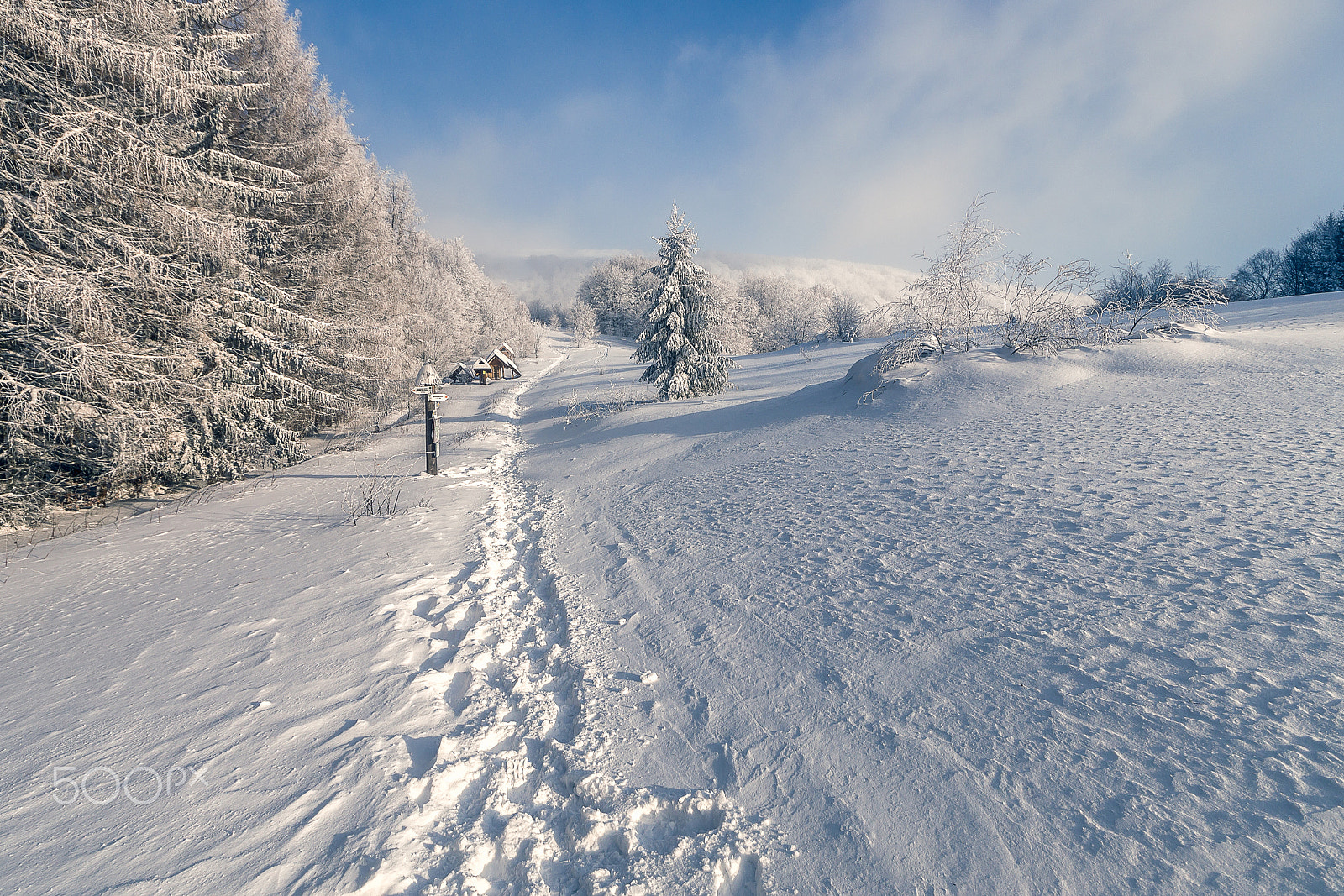 Sigma AF 10-20mm F4-5.6 EX DC sample photo. A winter's tale about bieszczady photography