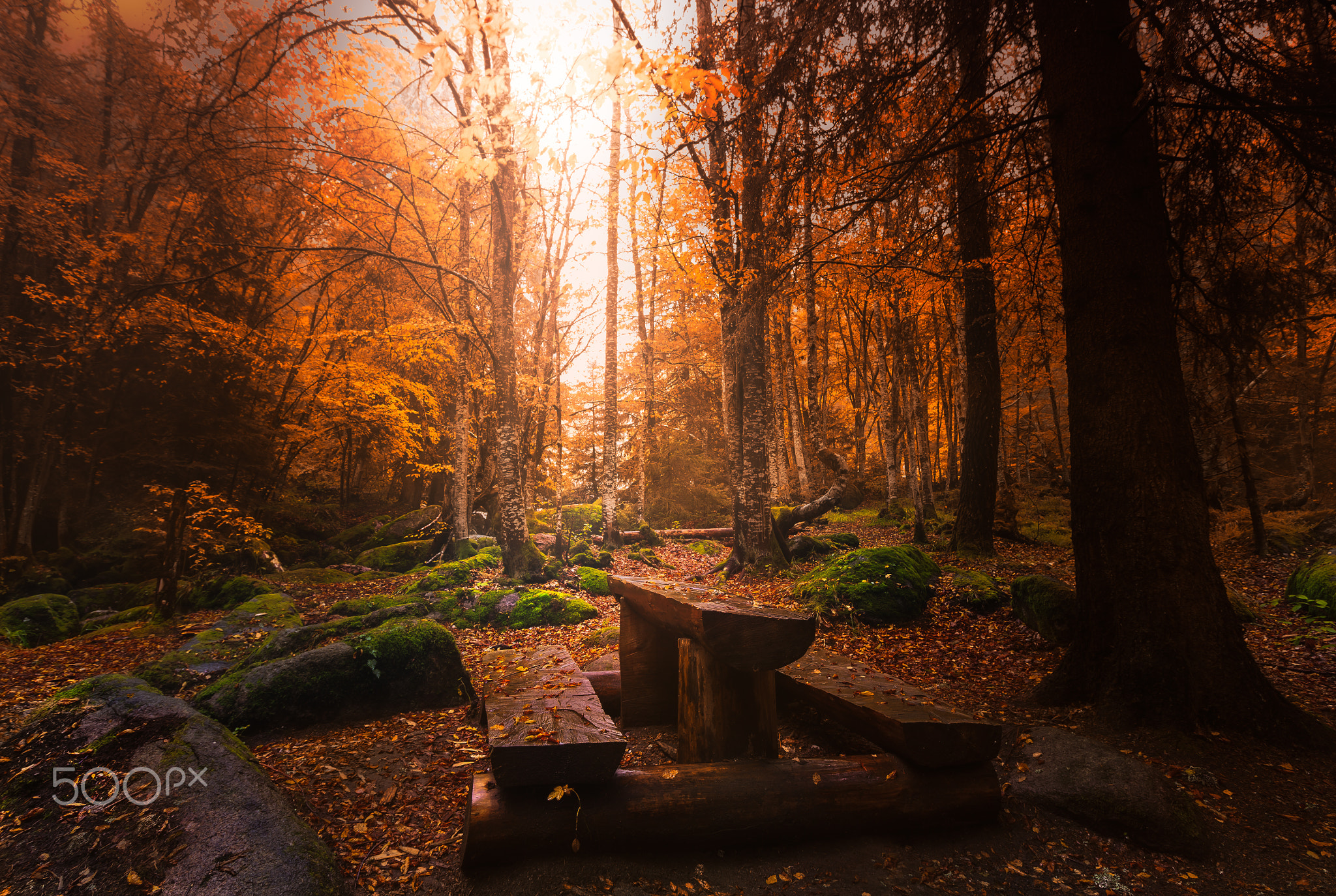 Autumn fire