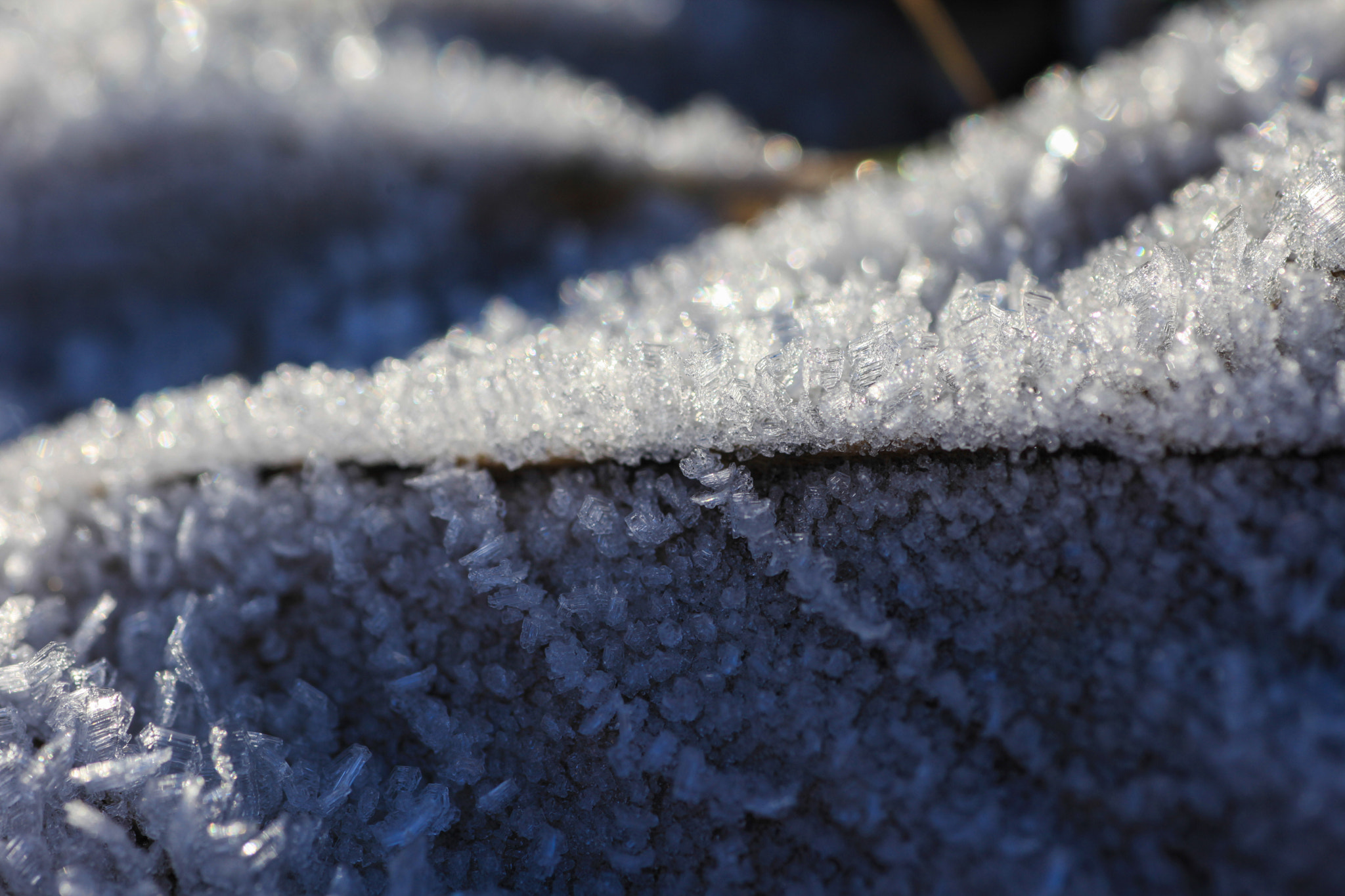 Canon EOS 5D Mark II + Tamron SP AF 90mm F2.8 Di Macro sample photo. Colors of winter. photography