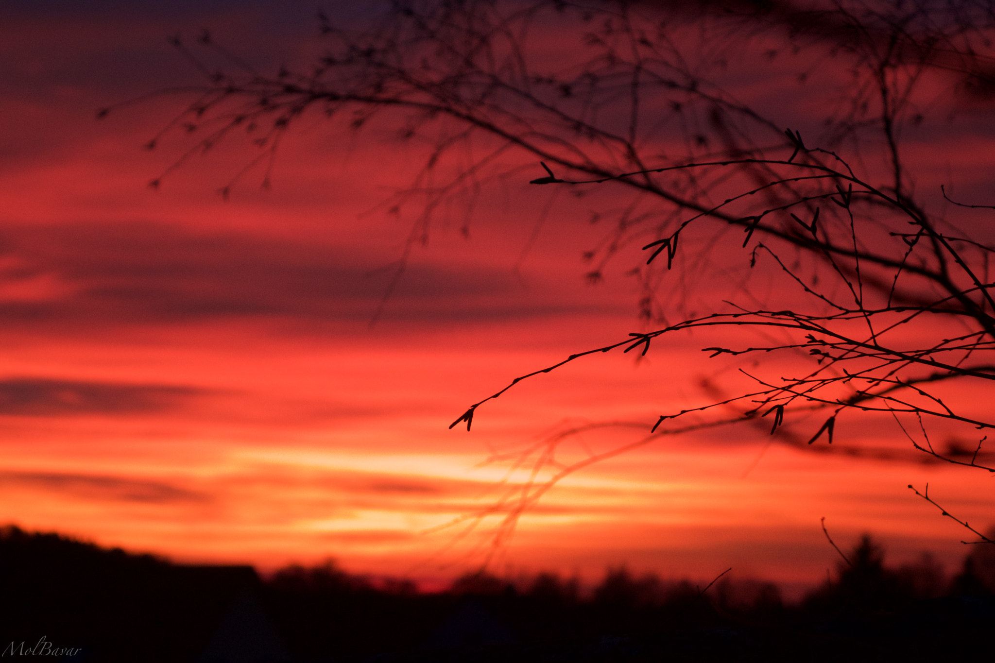 Sony Cyber-shot DSC-RX10 + Sony 24-200mm F2.8 sample photo. Bleeding sky photography