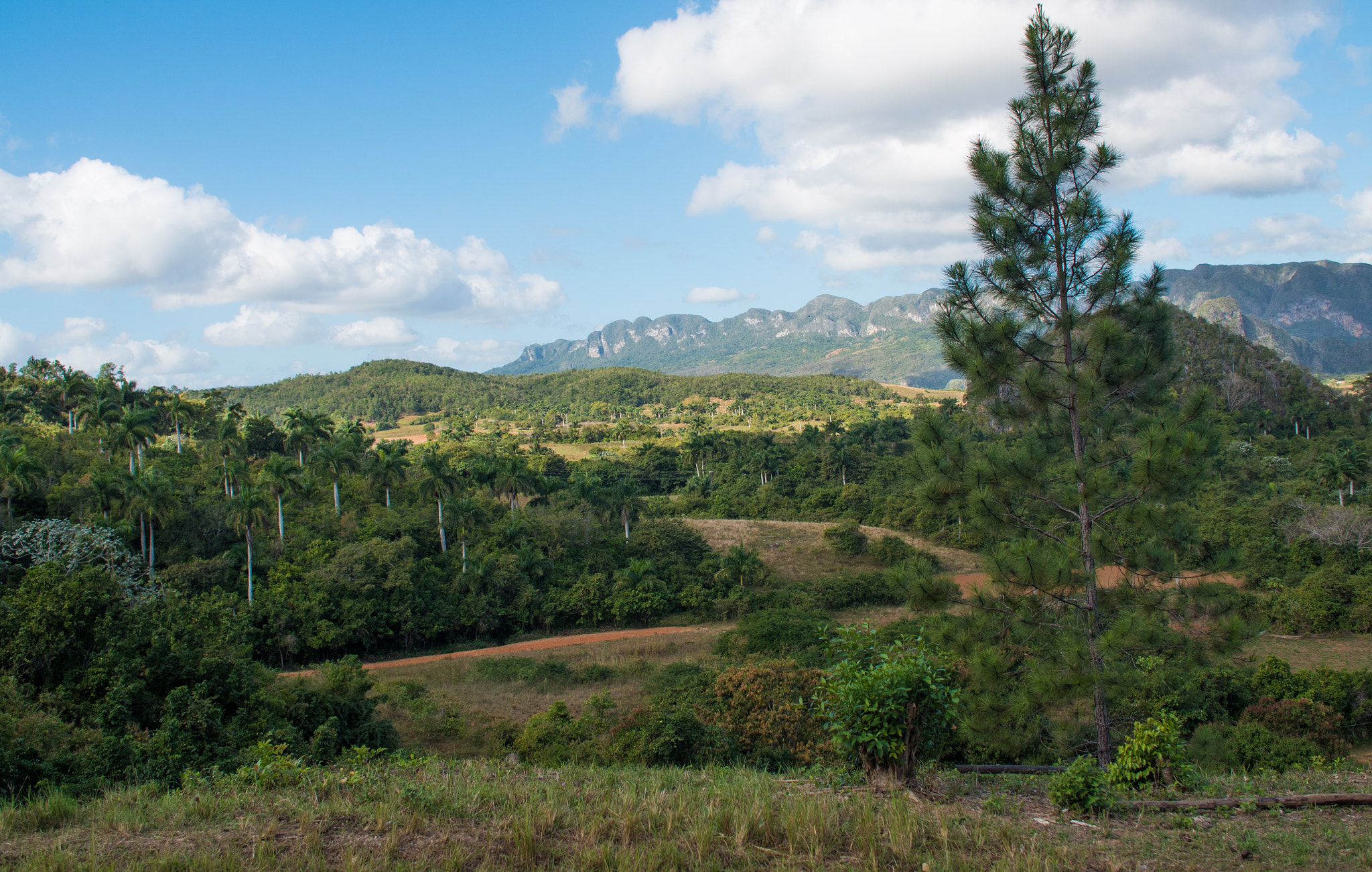 Panasonic Lumix DMC-GH4 sample photo. Vinales landscape 2 photography