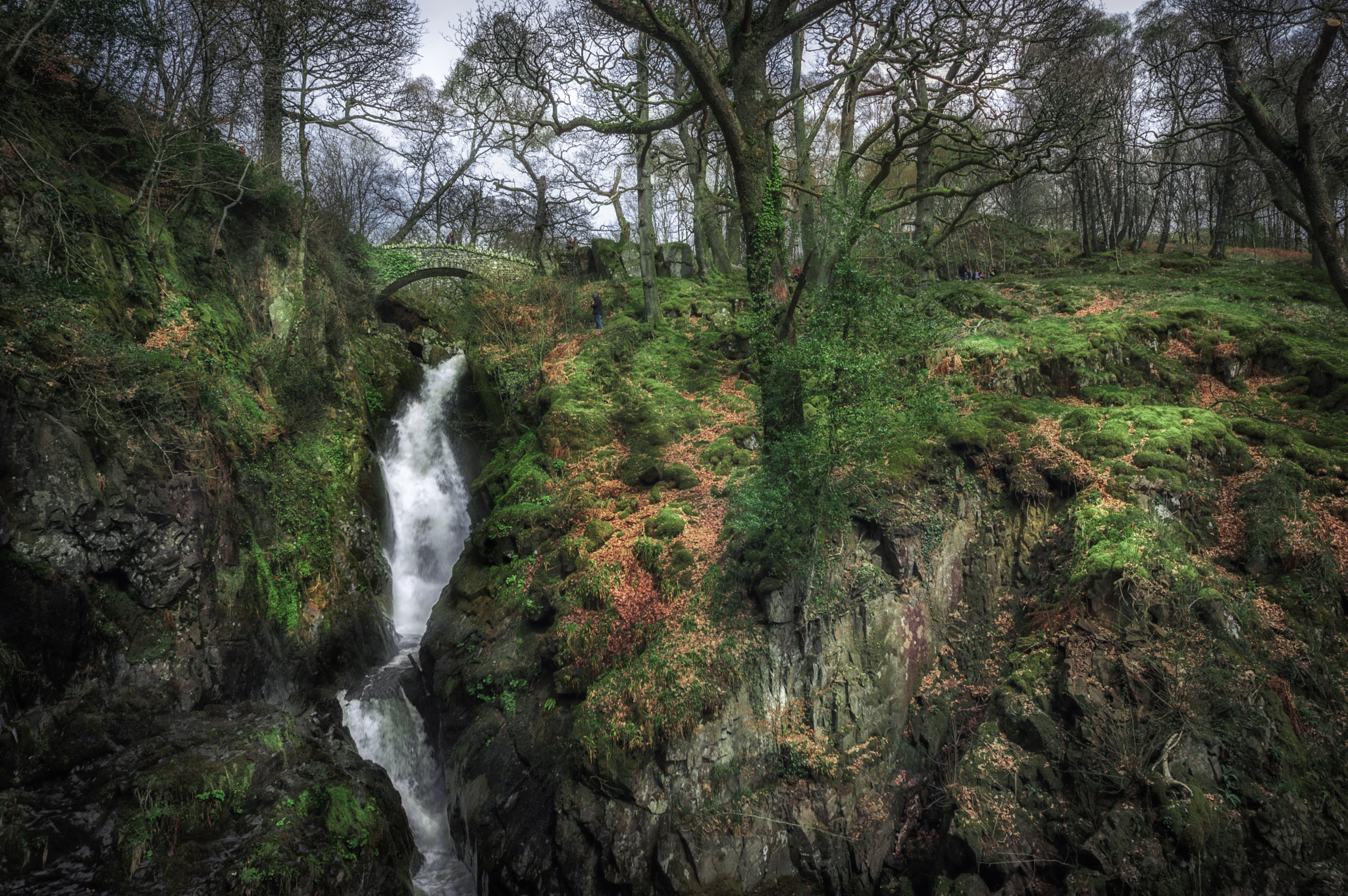 Sigma 8-16mm F4.5-5.6 DC HSM sample photo. Aira force photography
