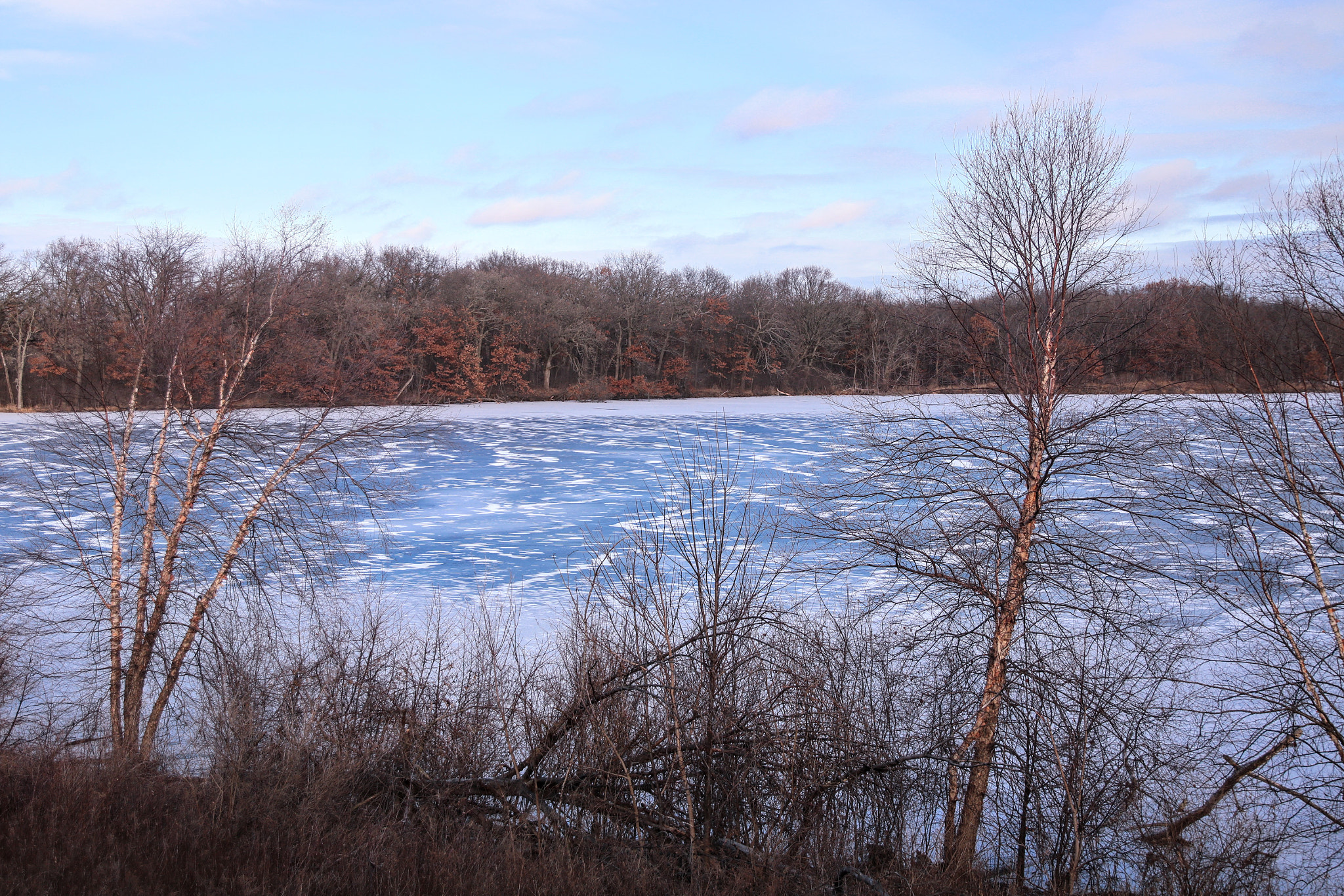 Canon EOS 760D (EOS Rebel T6s / EOS 8000D) sample photo. Iced photography
