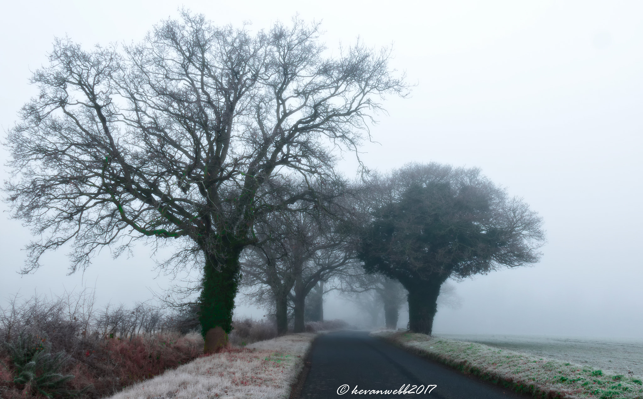 Canon EOS 760D (EOS Rebel T6s / EOS 8000D) sample photo. Winter in the countryside photography