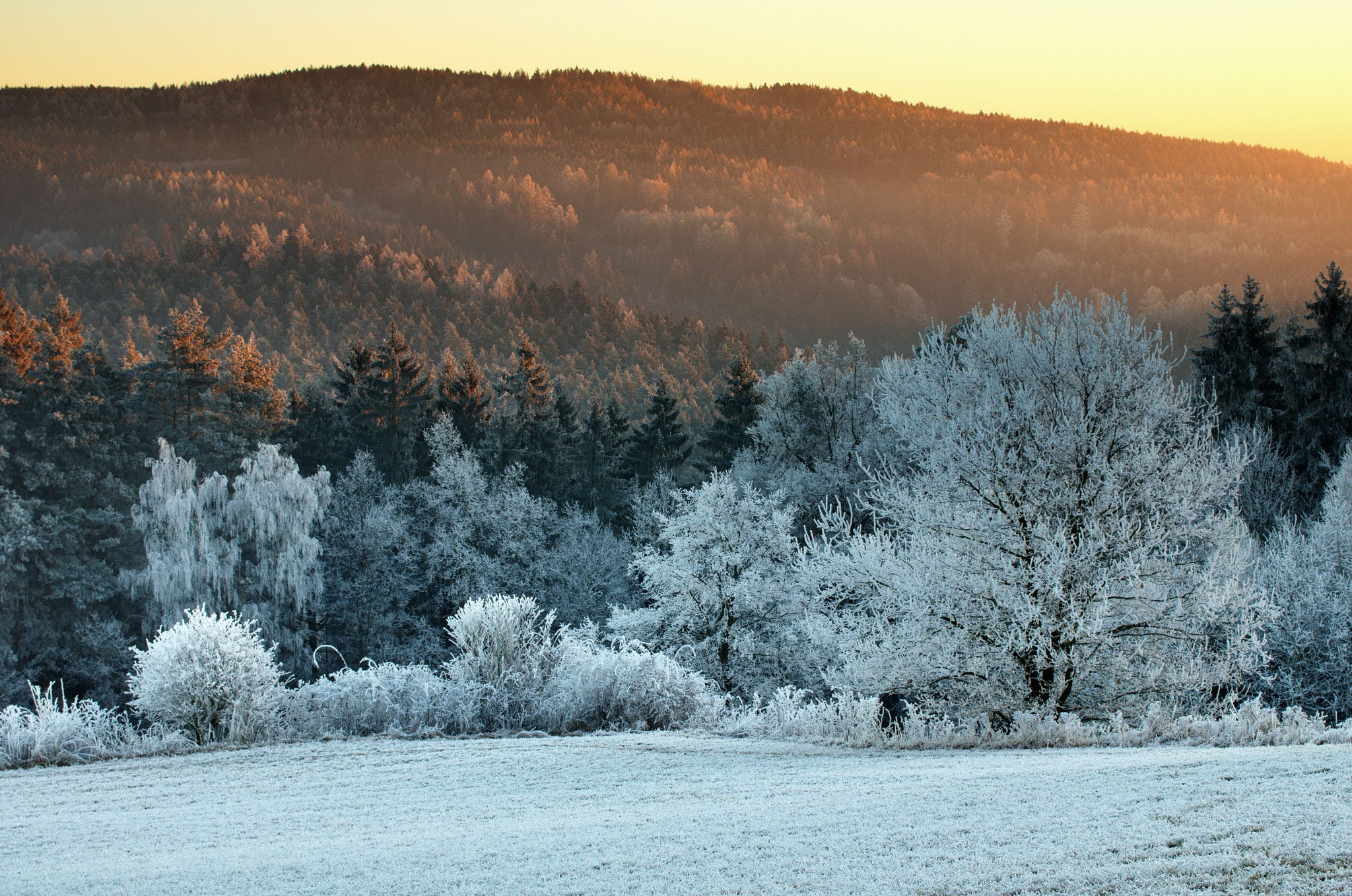 Canon EOS 750D (EOS Rebel T6i / EOS Kiss X8i) sample photo. Cold morning ii photography