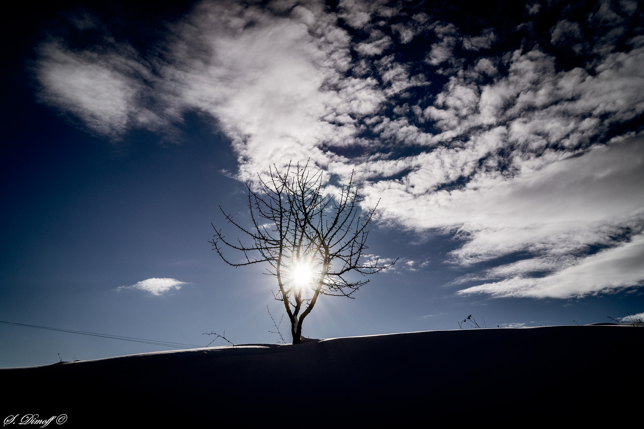 Sony SLT-A58 + Sony DT 18-55mm F3.5-5.6 SAM sample photo. Sun in branches photography