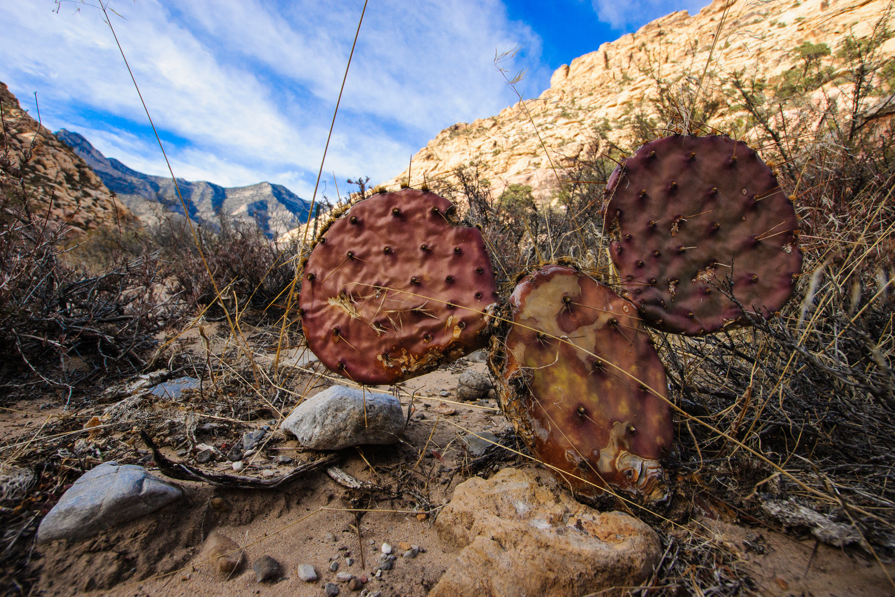 Sony SLT-A77 + Sony DT 11-18mm F4.5-5.6 sample photo. Copyright infringement? photography