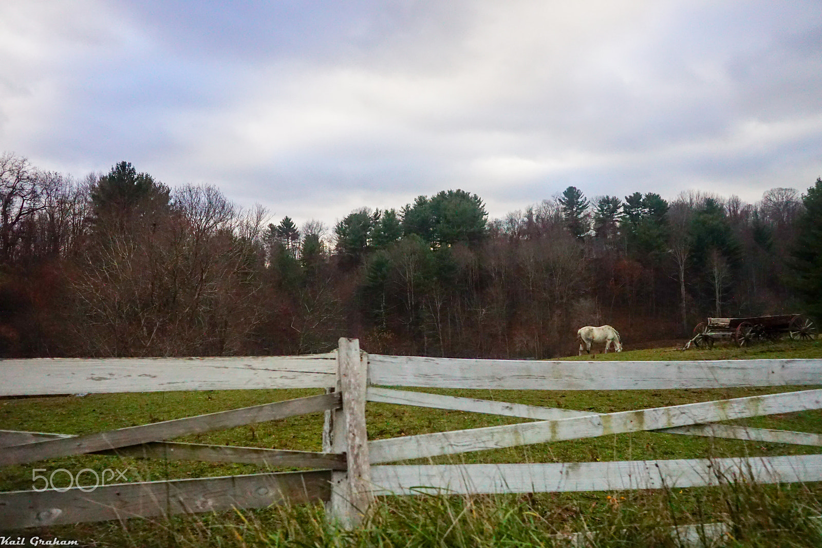 Sony E 20mm F2.8 sample photo. Horse and fence photography