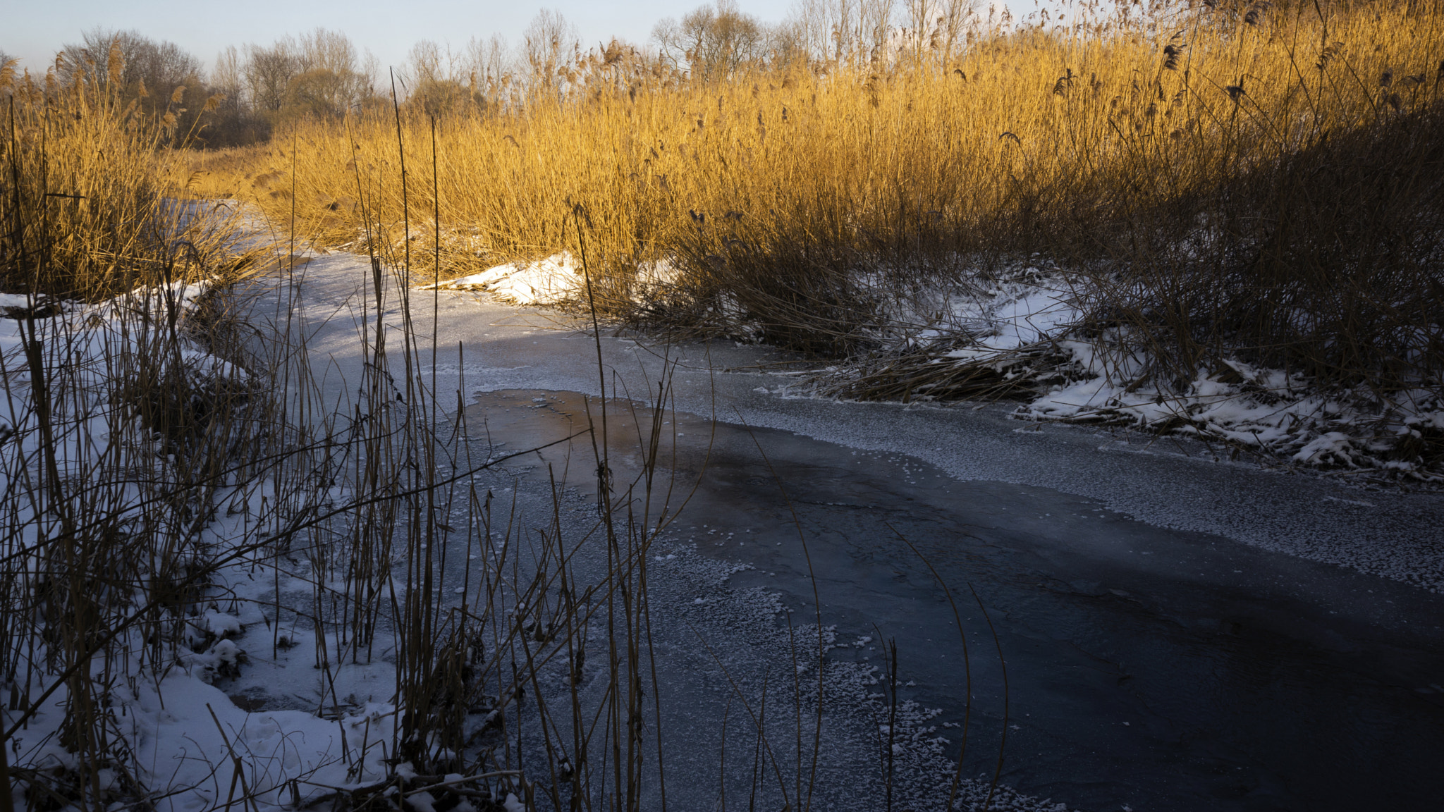 Sony SLT-A65 (SLT-A65V) + 10-20mm F3.5 sample photo. Golden grass photography