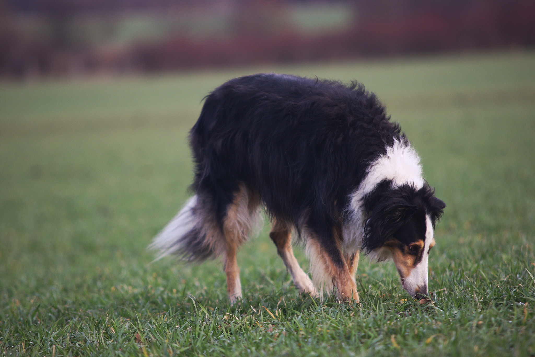 Canon 70-200mm sample photo