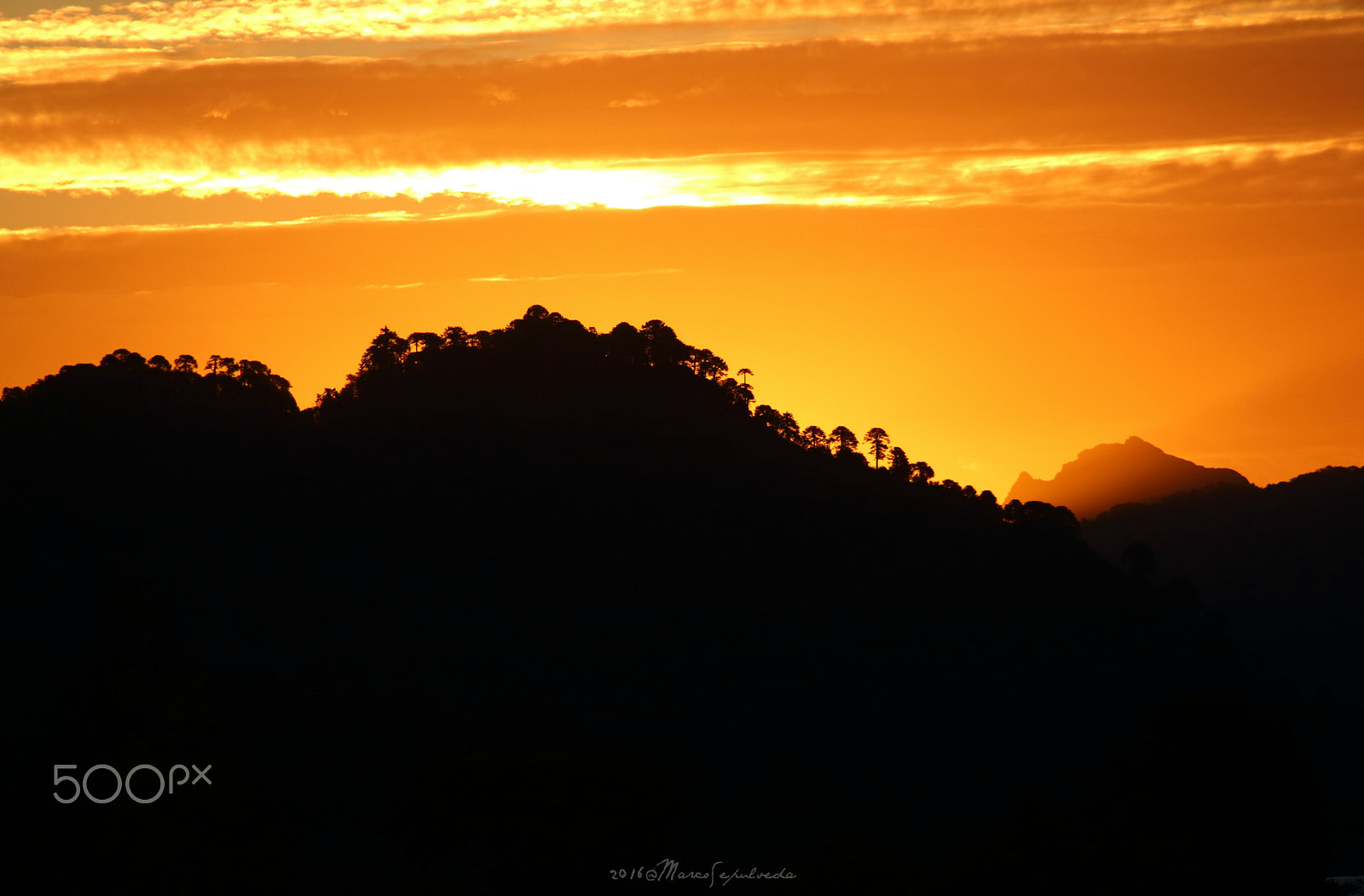 Canon EF 80-200mm F4.5-5.6 II sample photo. Icalma_chilean andes photography