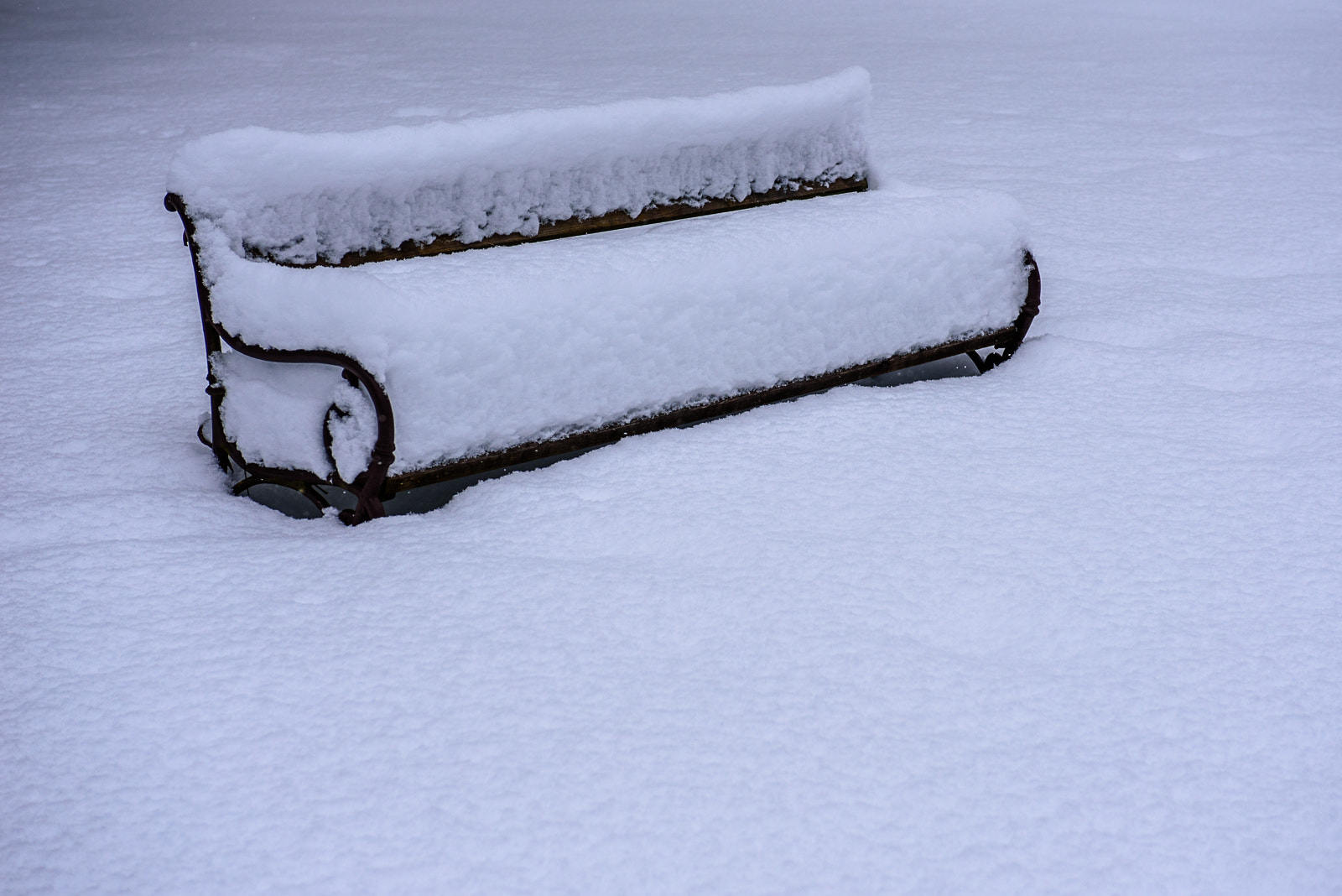 Nikon AF-S Nikkor 28-70mm F2.8 ED-IF sample photo. The parkbench photography