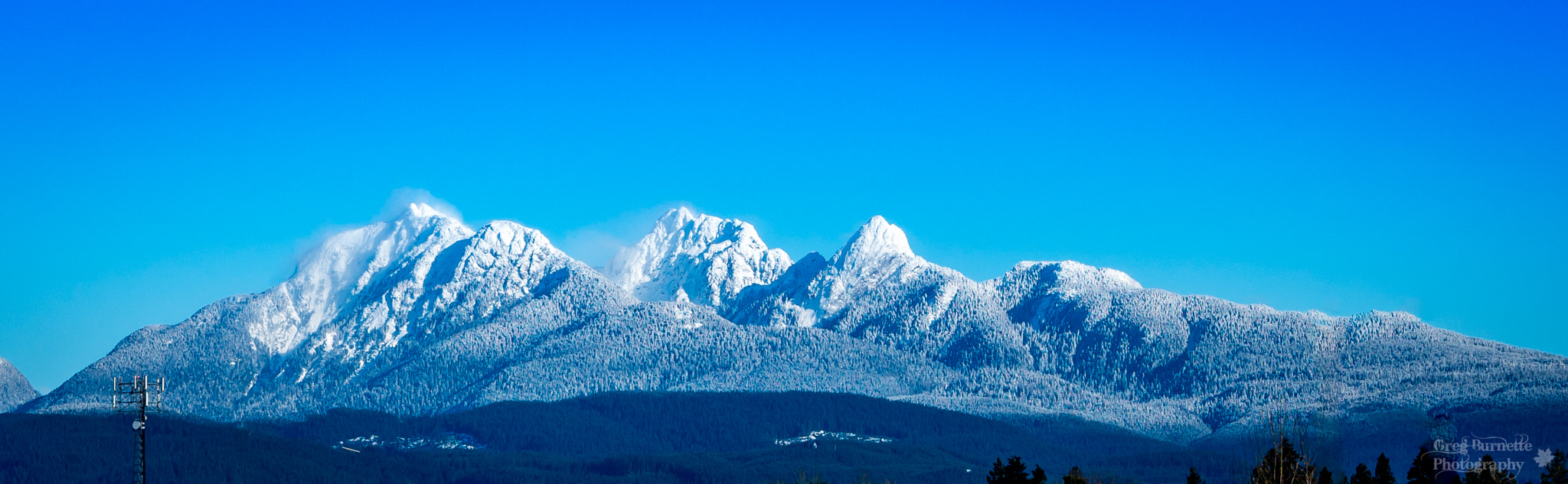 Pentax K-5 IIs sample photo. Golden ears.jpg photography