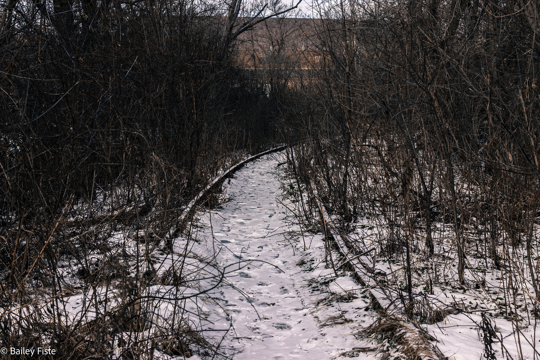 Canon EOS 600D (Rebel EOS T3i / EOS Kiss X5) sample photo. Forgotten route photography