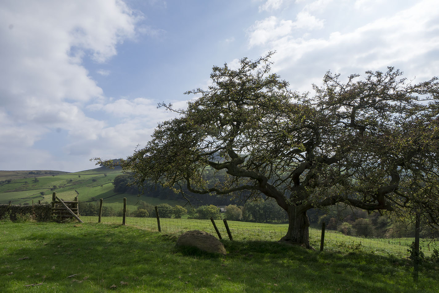 Sony Alpha a3000 + Sony E 10-18mm F4 OSS sample photo. Cheshire east photography