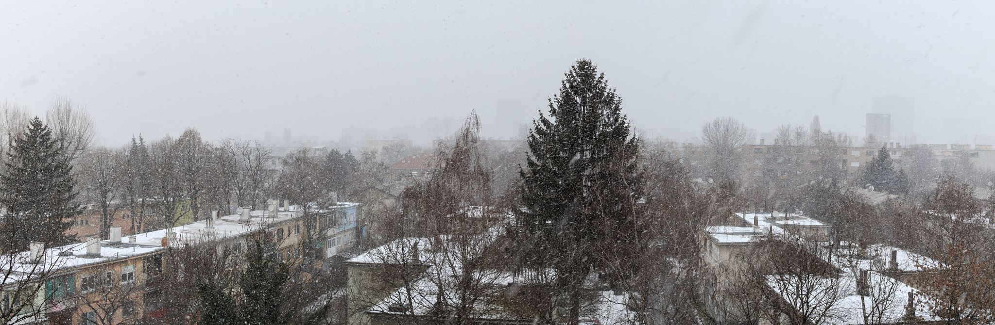 Canon EF-S 24mm F2.8 STM sample photo. 5 minutes of snow photography
