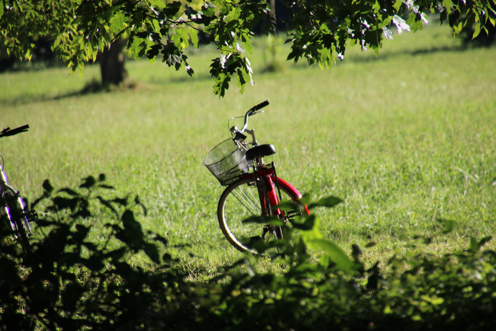 Canon EOS 750D (EOS Rebel T6i / EOS Kiss X8i) sample photo. Relax summer bike photography