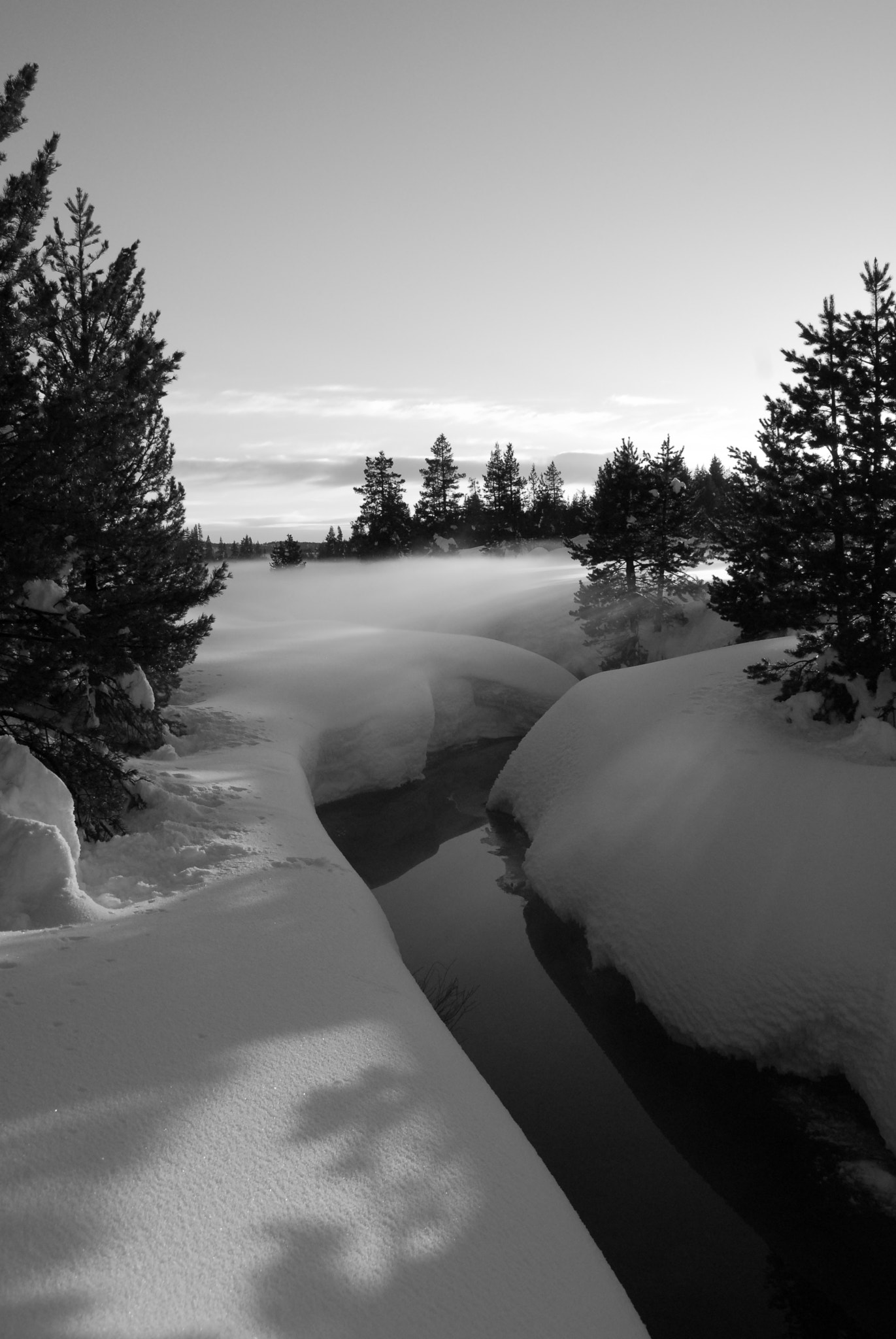 Nikon D200 sample photo. Winter creek photography