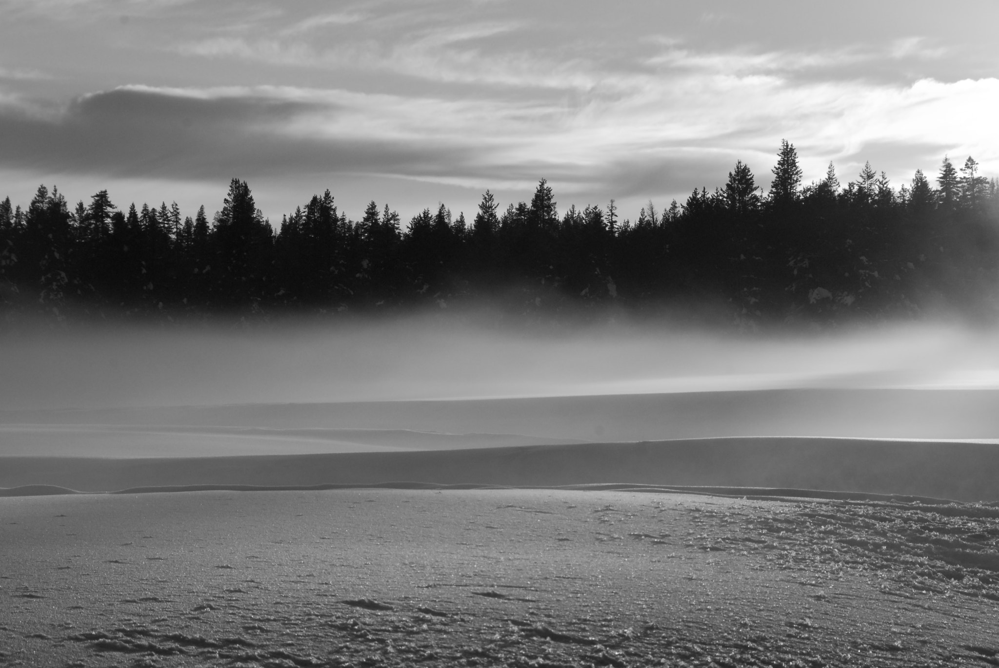 Nikon D200 sample photo. Winter meadow photography
