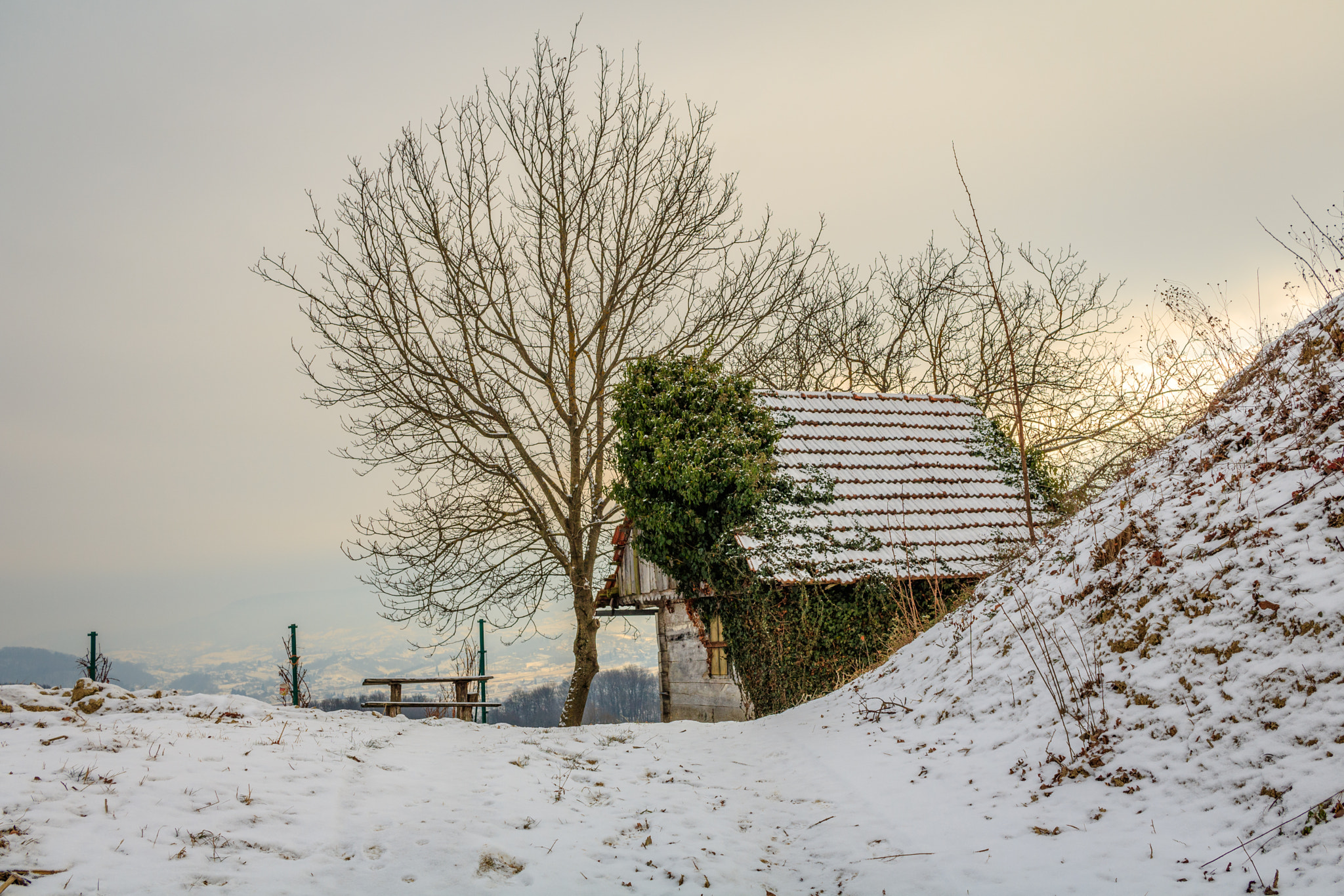 Canon EF-S 24mm F2.8 STM sample photo. Wonderful world photography