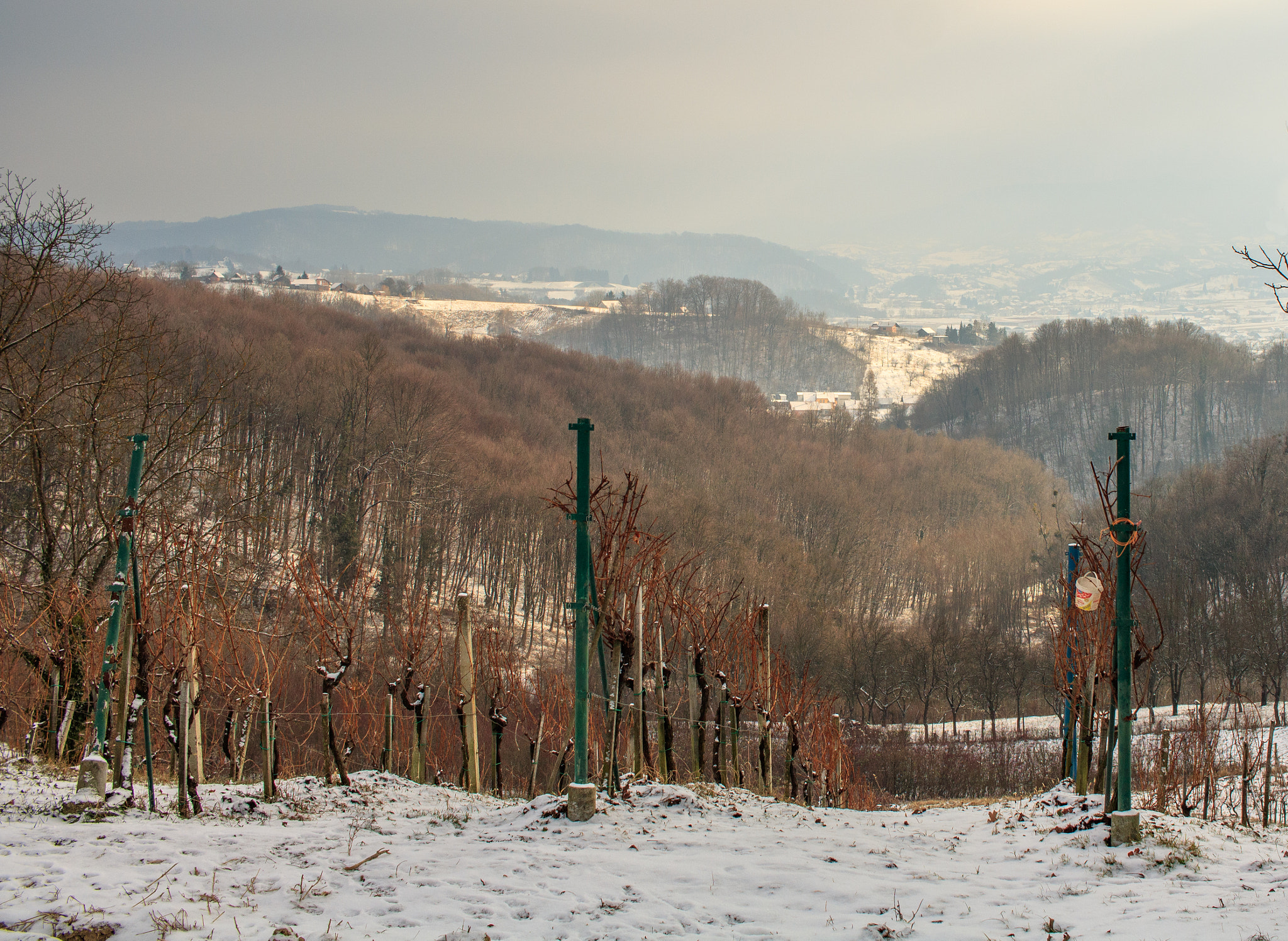 Canon EF-S 24mm F2.8 STM sample photo. Img photography