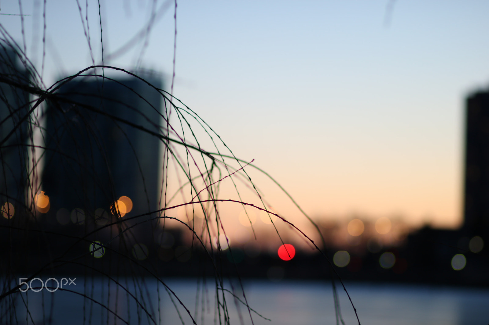 Canon EF 85mm F1.8 USM sample photo. Img photography