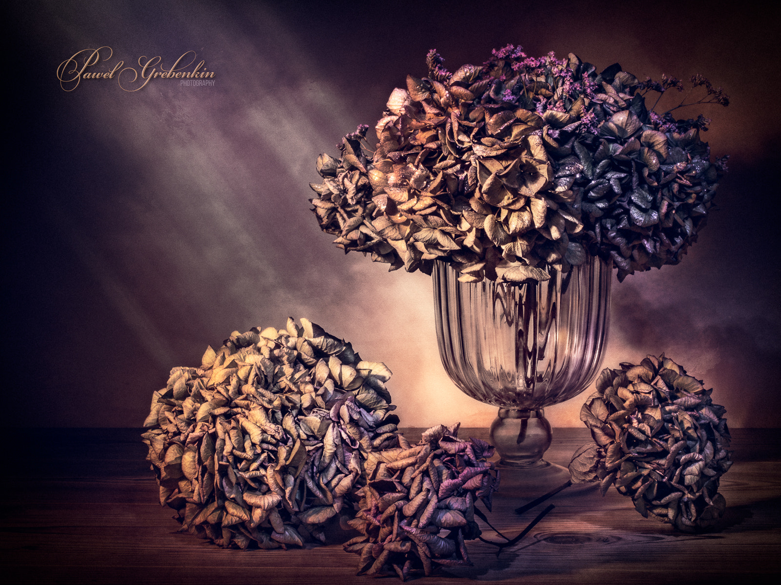 Canon EOS 700D (EOS Rebel T5i / EOS Kiss X7i) + Canon EF 40mm F2.8 STM sample photo. Still life. dried hortensia photography