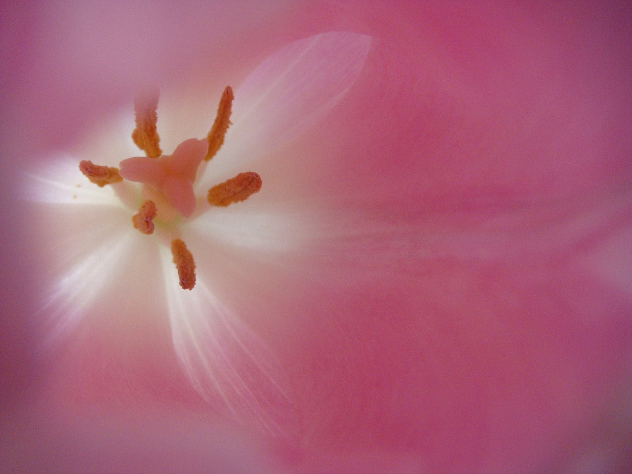 Sony DSC-T200 sample photo. Colour/色 photography