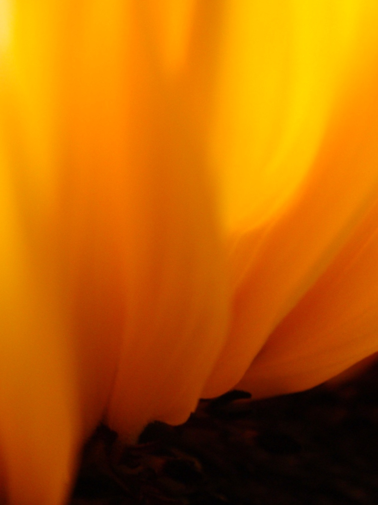 Sony DSC-T200 sample photo. Colour/色 photography