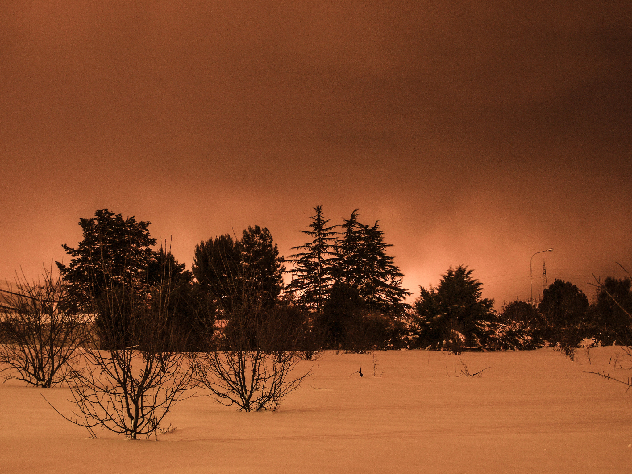 OLYMPUS 14-42mm Lens sample photo. Snowy night photography