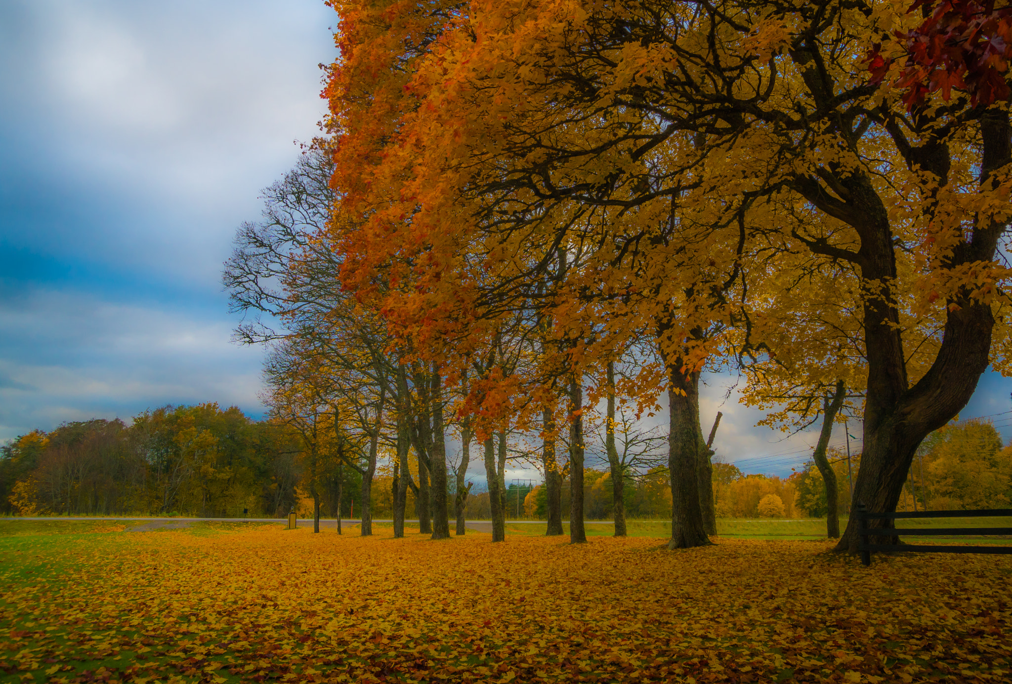 Sony ILCA-77M2 sample photo. Colors of change photography