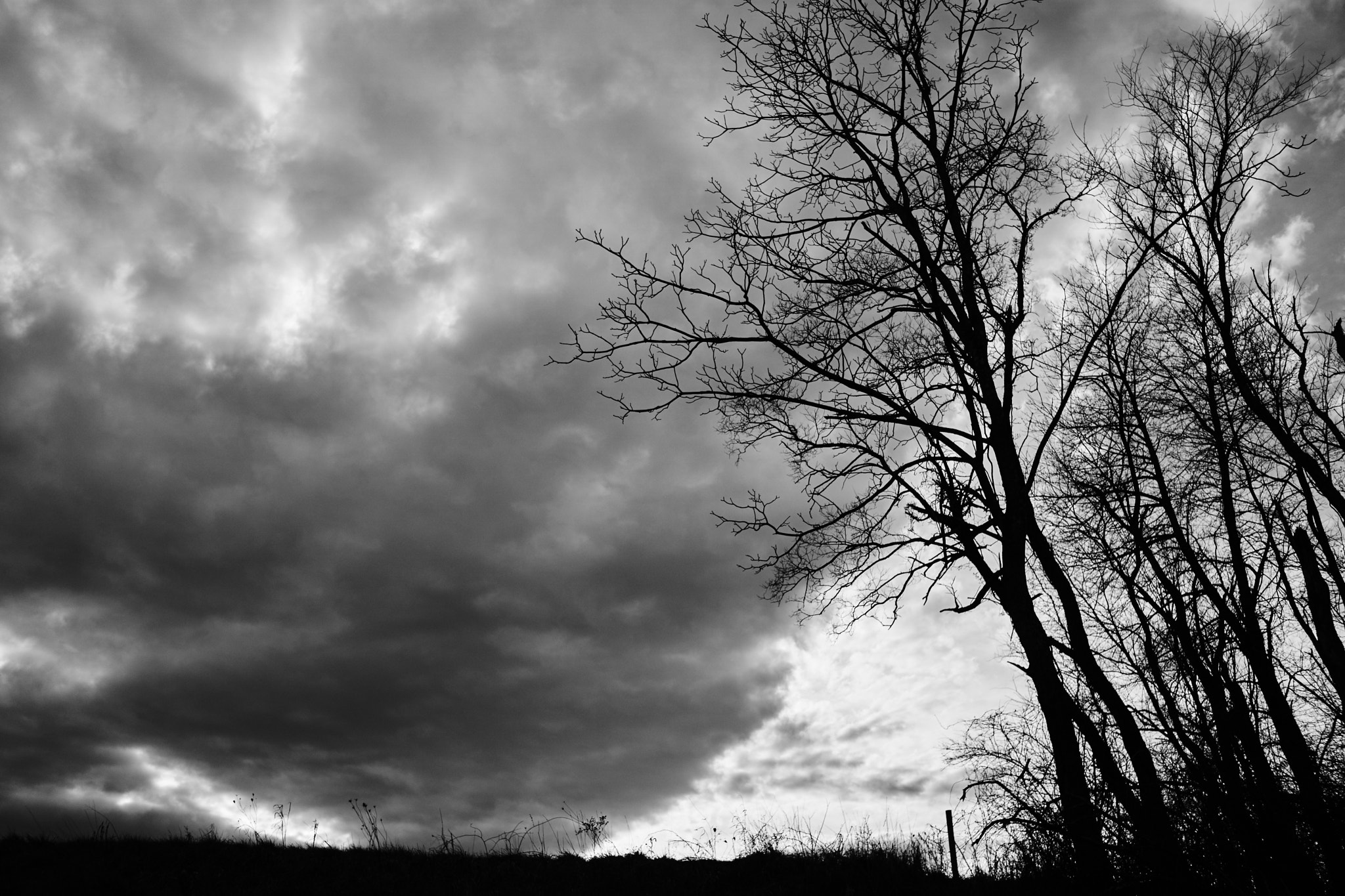 Sony E 20mm F2.8 sample photo. Ominous sky photography