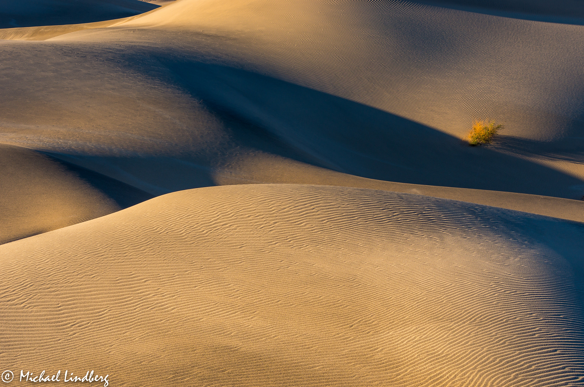 Pentax K-5 IIs sample photo. Burning bush photography