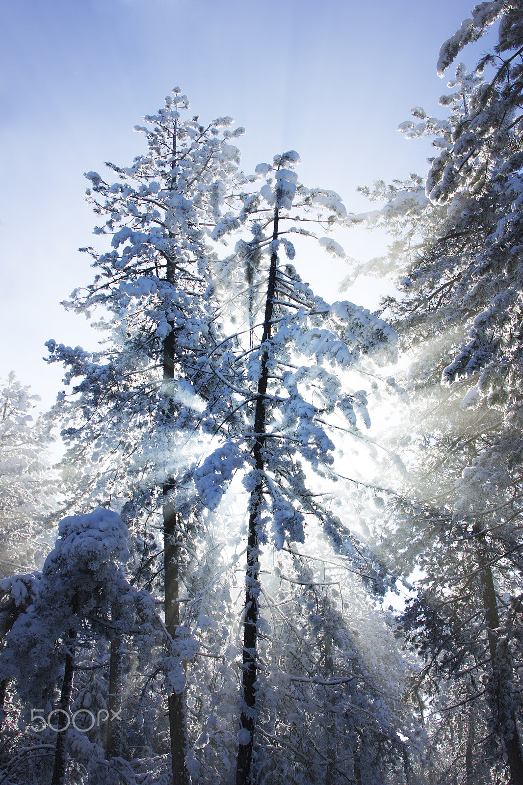 Canon EF 28-105mm f/3.5-4.5 USM sample photo. Morning sun photography