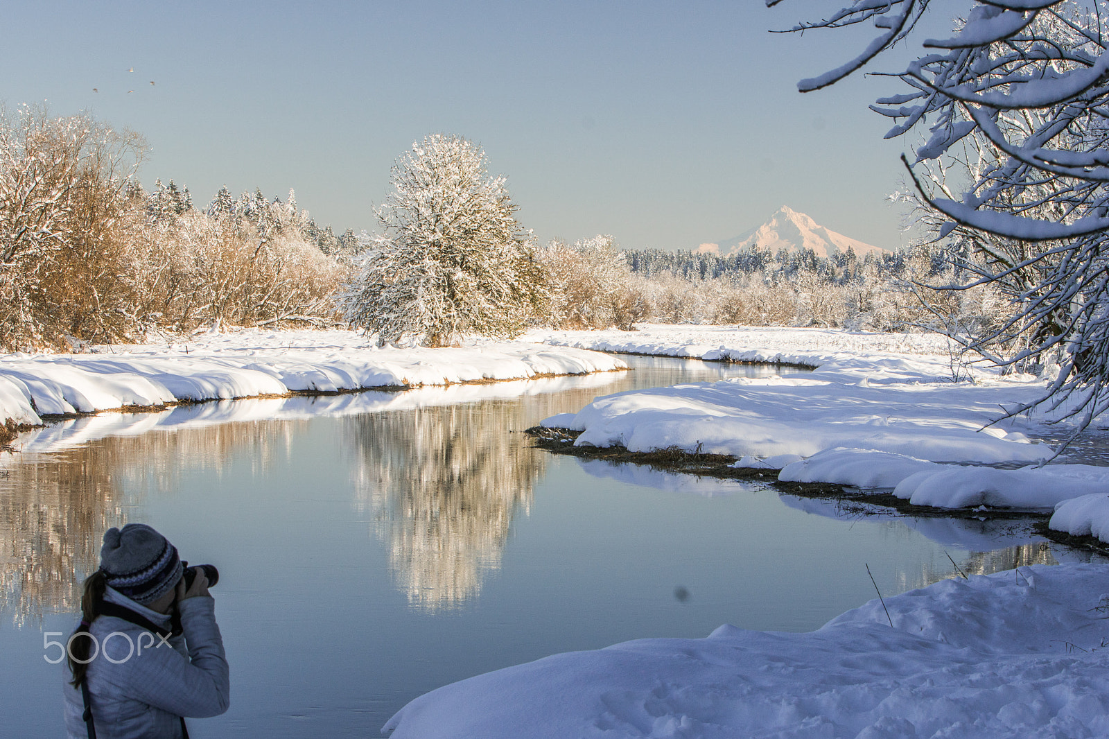 Sony a6300 + Canon EF 70-200mm F2.8L IS USM sample photo. Salmon creek photography