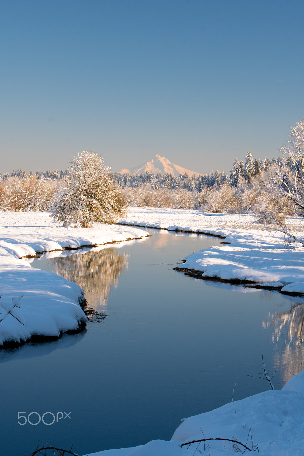 Sony a6300 sample photo. Salmon creek photography