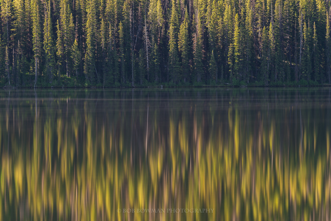Nikon AF-S Nikkor 70-200mm F4G ED VR sample photo. Forest reflection photography