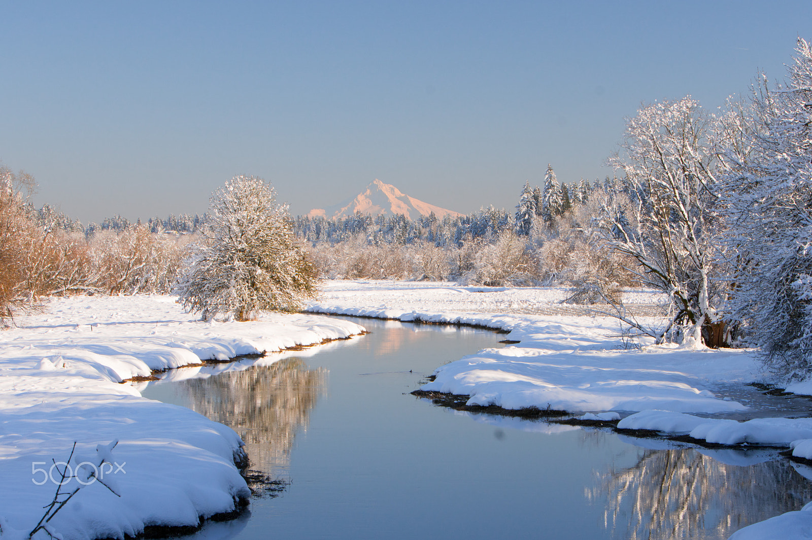 Sony a6300 + Canon EF 70-200mm F2.8L IS USM sample photo. Salmon creek photography