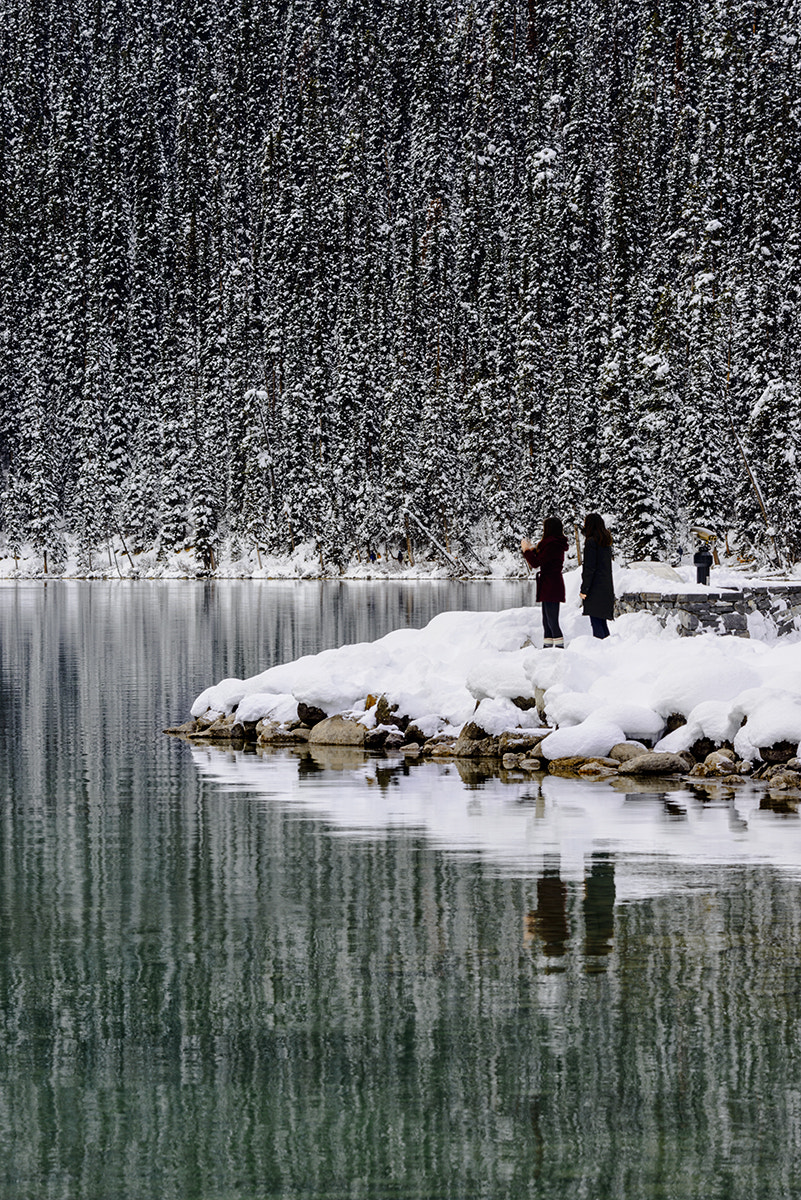 Nikon D800E sample photo. Lake louise's beautiful snow scene photography