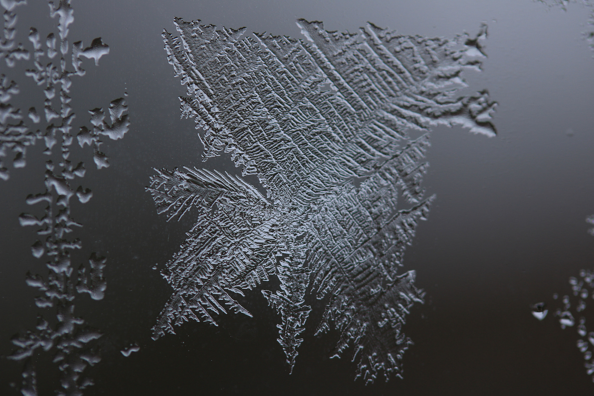 Canon EF-S 60mm F2.8 Macro USM sample photo. Melting away photography